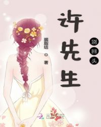 许先生别回头章节列表