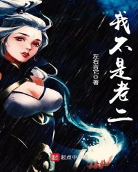 我不是老二章节列表