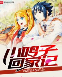 小鸣子回家记章节列表