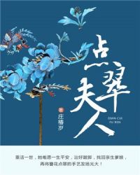点翠夫人章节列表