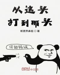 从这头打到那头章节列表