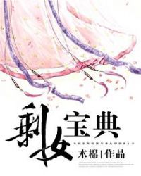 剩女宝典章节列表