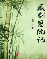 藏剑恩仇记章节列表