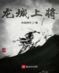 龙城上将章节列表