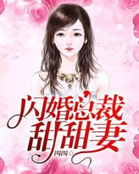 闪婚总裁甜甜妻章节列表