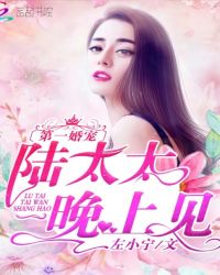 第一婚宠：陆太太，晚上见！章节列表