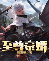 至尊豪婿章节列表