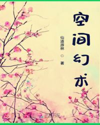 空间幻术章节列表