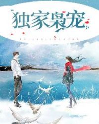 独家枭宠章节列表