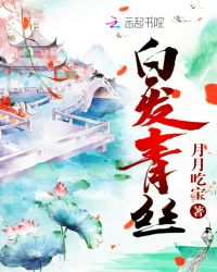 白发青丝章节列表