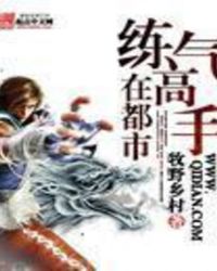 练气高手在都市章节列表
