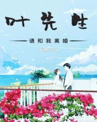 叶先生请和我离婚章节列表