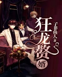 狂龙赘婿章节列表