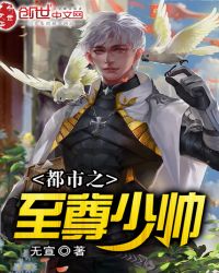 都市之至尊少帅章节列表