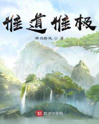 惟道惟极章节列表