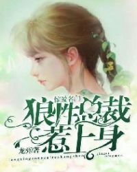 惊爱名门，狼性总裁惹上身章节列表