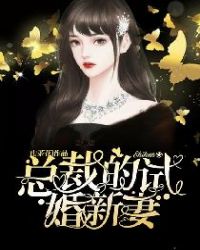 总裁的试婚新妻章节列表