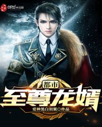 都市至尊龙婿章节列表