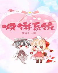 烧饼系统章节列表