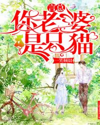 言总你老婆是只猫章节列表