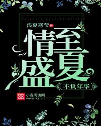 情至盛夏，不负年华章节列表