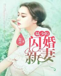陆少的闪婚新妻章节列表