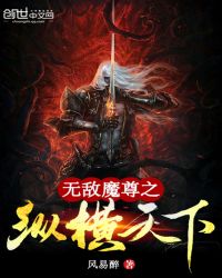 无敌魔尊之纵横天下章节列表