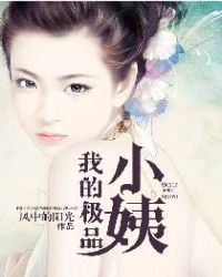 我的极品小姨章节列表