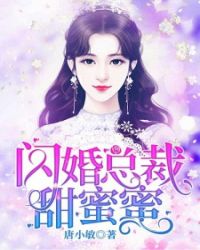 闪婚总裁甜蜜蜜章节列表
