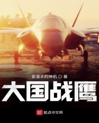 大国战鹰章节列表