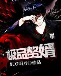 极品赘婿章节列表