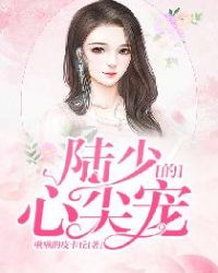 陆少的心尖宠章节列表