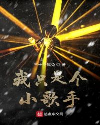 我只是个小歌手章节列表