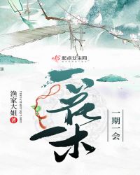 一花一木一期一会章节列表