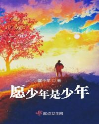 愿少年是少年章节列表