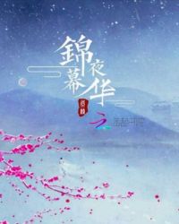 锦夜幕华章节列表