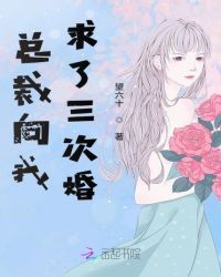 总裁向我求了三次婚章节列表