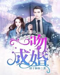 一吻成婚章节列表