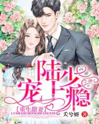 重生甜妻，陆少宠上瘾章节列表