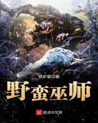 野蛮巫师章节列表