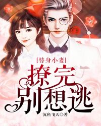替身小妻：撩完别想逃章节列表