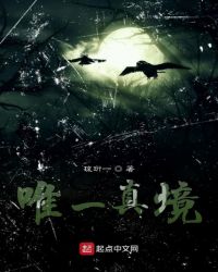唯一真境章节列表