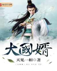 大国婿章节列表