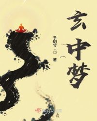 玄中梦章节列表