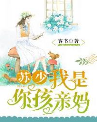 苏少，我是你孩亲妈章节列表