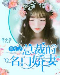 重生之总裁的名门娇妻章节列表