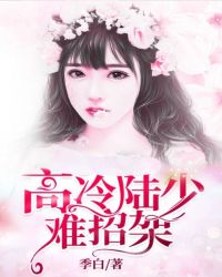 高冷陆少，难招架章节列表