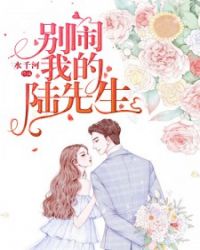 别闹，我的陆先生章节列表