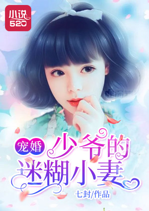 宠婚：少爷的迷糊小妻章节列表