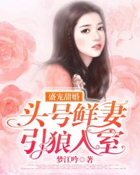 盛宠甜婚：头号鲜妻引狼入室章节列表